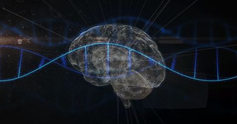 holographic brain with dna helix and digital effects - Download Free Stock Images Pikwizard.com
