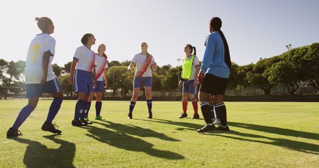 Team of diverse female football players standing on sunny sports field - Download Free Stock Photos Pikwizard.com