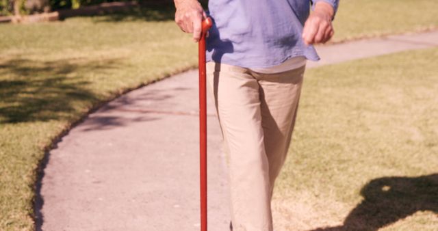 Elderly person in casual clothing walking through a tranquil park using a cane on a sunny day. Useful for articles and advertisements related to senior health, mobility issues, outdoor activities for elderly, and promoting independence for seniors.