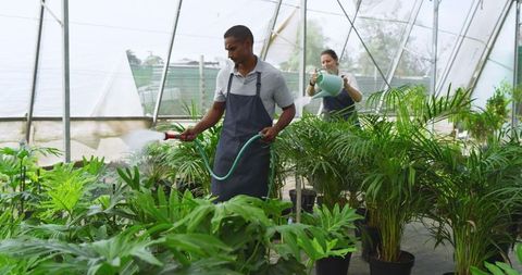 Diverse Team Watering Tropical Plants in Greenhouse Environment