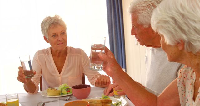 Elderly Group Enjoying Meal and Conversation at Dining Table - Download Free Stock Images Pikwizard.com