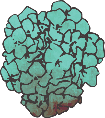 transparent flowers art inspired nature petals in blue hue - Download Free Stock Videos Pikwizard.com