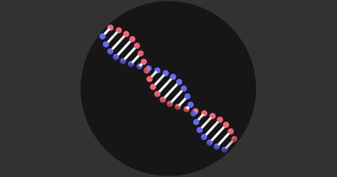 3D Double Helix DNA Strand on Gray Background - Download Free Stock Images Pikwizard.com