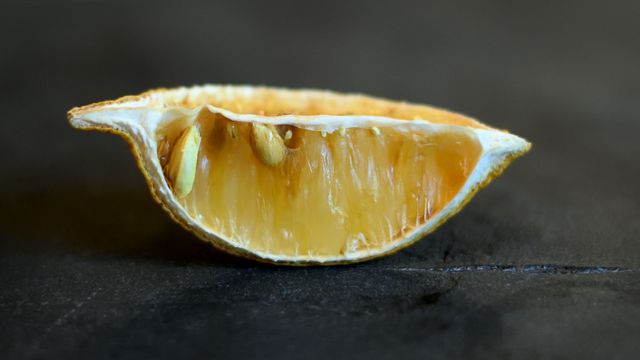 Detailed image of a dried orange slice displaying natural textures and seeds on a dark background. Ideal for illustrating concepts related to health, nutrition, natural foods, and organic produce. This evocative visual can enhance content in culinary blogs, health articles, and educational materials about fruits and their benefits.