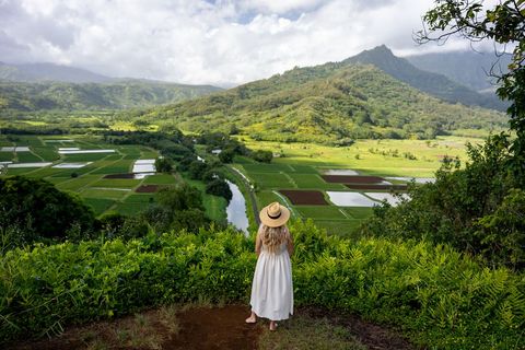 Woman Overlooking Lush Terraced Rice Fields with Mountains
