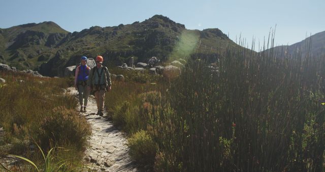 Hikers Walking Mountain Trail on Sunny Day - Download Free Stock Images Pikwizard.com