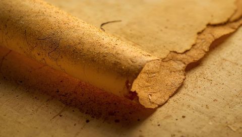Curled aged parchment showing cracked flaking fibers, torn edges and dusty antique texture