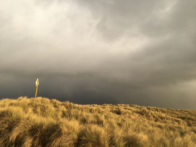 Image showing storm clouds approaching grass-covered dunes with a single yellow warning sign. Could be used for themes related to weather, outdoor activities, warning systems, nature conservation, and environmental conditions. Perfect for advertisements, websites, blogs, and articles discussing storm preparedness and coastal landscapes.