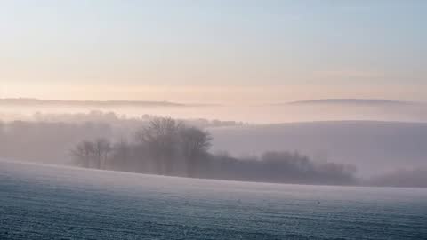 Dawn Mist Rolling Over Frosted Fields with Bare Copse Emerging Through Soft Sunrise Light