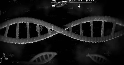 abstract representation of digital data processing with dna strands - Download Free Stock Images Pikwizard.com
