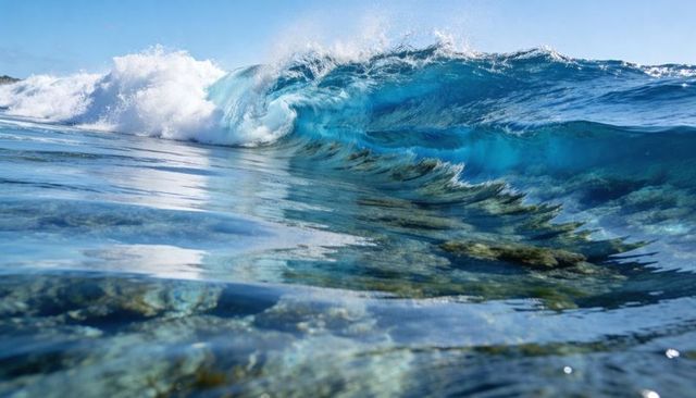 Sunlit turquoise wave curling and breaking over coral reef, revealing shallow seabed