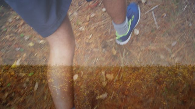 Hiking on a trail during autumn, showcasing vibrant colorful leaves underfoot. Ideal for projects related to nature exploration, seasonal activities, or promoting outdoor sports and fitness.