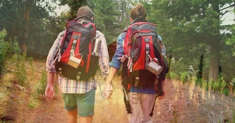 couple hiking in forest overlayed with grass texture - Download Free Stock Images Pikwizard.com