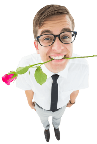 quirky businessman holding red rose in transparent background - Download Free Stock Videos Pikwizard.com