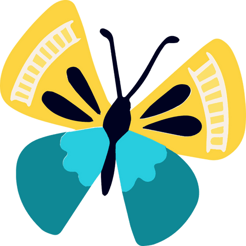Minimalist vector butterfly with geometric wings on transparent background