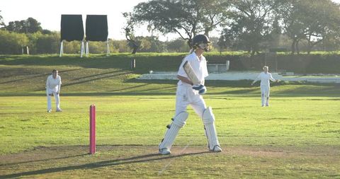 Cricket Players in Action Under Sunlight on Field with Pink Wicket
