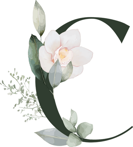 Elegant Floral Crescent Wreath with Pink Blossom on Transparent Background