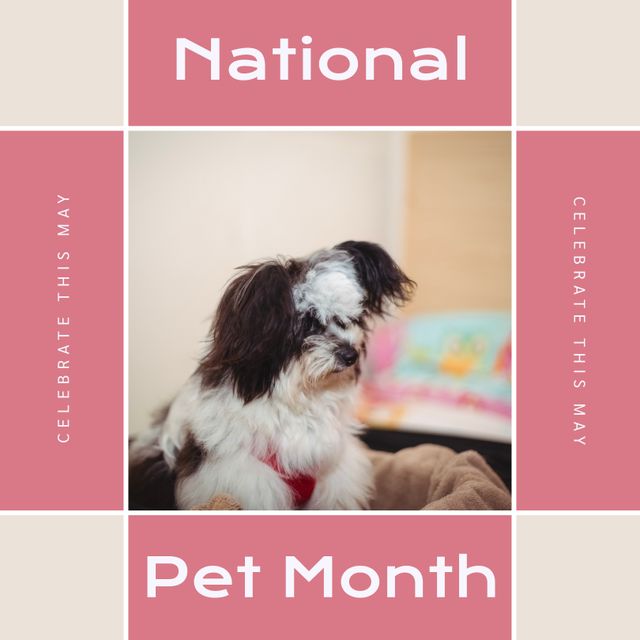 Cute Furry Puppy Promoting National Pet Month Celebration - Download Free Stock Templates Pikwizard.com