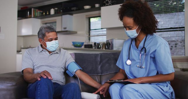 Nurse Conducting Blood Pressure Check at Home with Elderly Patient - Download Free Stock Images Pikwizard.com