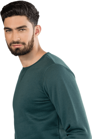 portrait of man with beard wearing green pullover on transparent background - Download Free Stock Videos Pikwizard.com