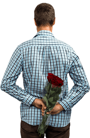transparent rear view man hiding red roses surprise - Download Free Stock Videos Pikwizard.com