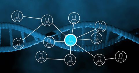 Digital Network with DNA Helix Connection - Download Free Stock Images Pikwizard.com
