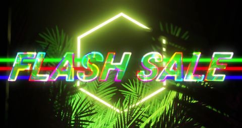Flash Sale Neon Design with Retro Vibe Hunting Attention