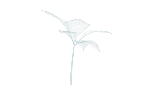 transparent 3d leaf model with artistic details - Download Free Stock Videos Pikwizard.com