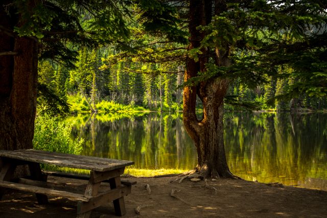 Serene forest lake with wooden picnic table and benches amidst trees. Ideal for promoting outdoor activities, camping, and nature retreats. Great for advertising travel destinations or creating calming, nature-themed content.