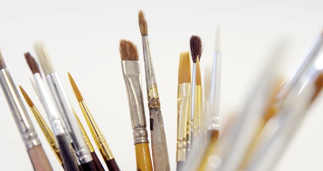 Assorted Paintbrushes Standing Upright in a Holder - Download Free Stock Images Pikwizard.com