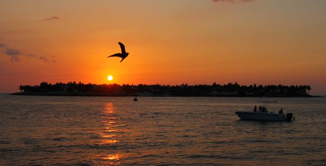 Depicting a serene sunset over an ocean with a bird in flight and a boat on water, this image evokes tranquility and beauty. The silhouetted island and vibrant orange sky add a picturesque quality perfect for travel promotions, nature blogs, wallpaper, and inspirational visual content emphasizing calmness and relaxation.