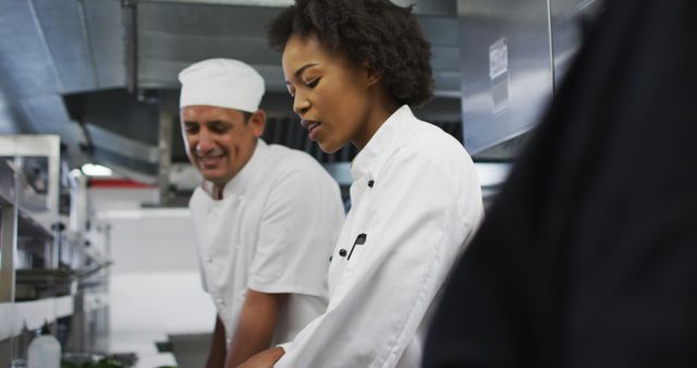 Chefs in professional kitchen collaborating and preparing food. Ideal for articles, culinary training materials, restaurant promotion, teamwork concepts, and cooking blogs.