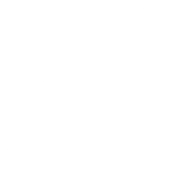 Silhouettes of Two Girls on Transparent Background Vector - Download Free Stock Videos Pikwizard.com