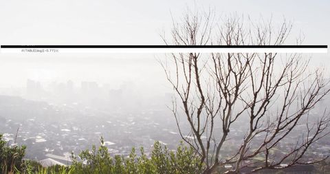 Digital Interference Over Urban Cityscape With Barren Trees - Download Free Stock Images Pikwizard.com