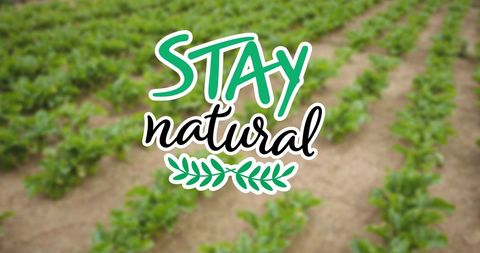 Stay Natural Concept Over Green Plant Rows Ideal for Eco-Friendly Promotions