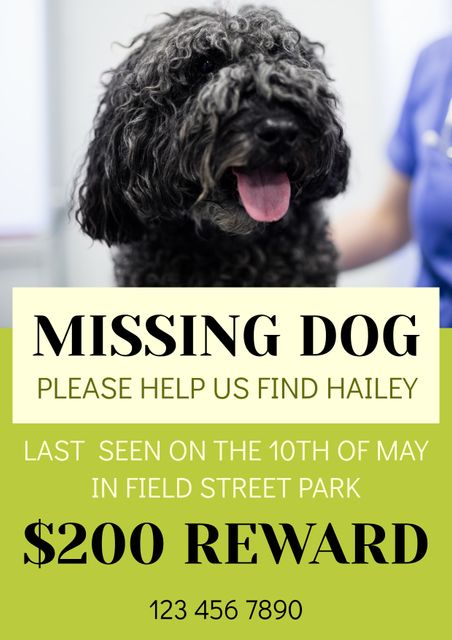 This emergency poster template is ideal for quickly spreading the word about a missing dog. Featuring space for essential details, the poster includes a clear call to action, reward offer, last seen location, and contact information. Perfect for use in community noticeboards, social media, and high-traffic areas to reunite pet owners with their lost dogs.