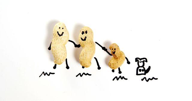 This artistic creation showcases a whimsical peanut family, depicted with hand-drawn facial expressions and limbs on a white background. It features two adult peanuts holding hands with a smaller peanut, accompanied by a hand-drawn dog. This image can be used in creative projects, advertisements, blogs on family or art, and creative designs promoting fun and play.