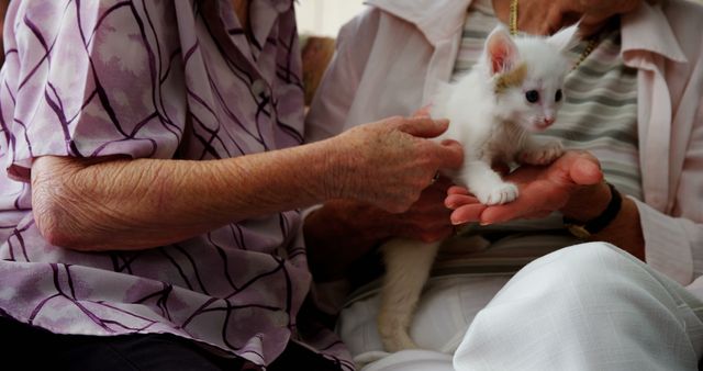 Two elderly women sitting closely together, gently holding a small, adorable kitten. This heartwarming scene likely represents companionship, nurturing, and the benefits of animal therapy. Perfect for illustrating concepts related to caregiving, senior living, pet love, and the emotional connection between pets and their owners. Useful in promotions for elderly care services, mental health, and pet adoption campaigns.