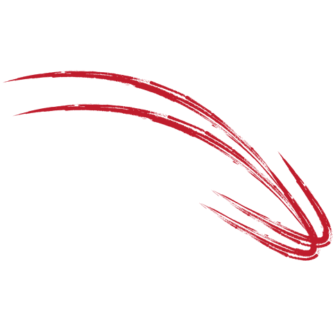 Red Dynamic Arrow Design on Transparent Background Illustration - Download Free Stock Videos Pikwizard.com