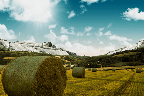 transparent fields with bale hay and hills digital art - Download Free Stock Videos Pikwizard.com