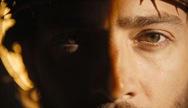 Gazing male portrait with leaf shadows and warm chiaroscuro lighting, intense closeup