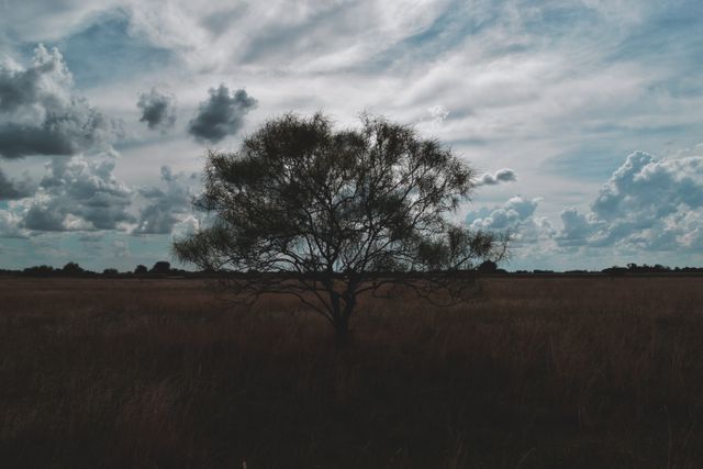This image of a solitary tree under a cloud-filled sky in an open field evokes a sense of calm and serenity. The dramatic cloud formations combined with the rural landscape can be used to symbolize solitude, nature's beauty, and peacefulness. Ideal for use in nature-themed projects, environmental awareness campaigns, or as a tranquil background for inspirational quotes.
