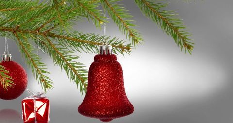 festive red ornament decor on evergreen christmas tree branch - Download Free Stock Images Pikwizard.com