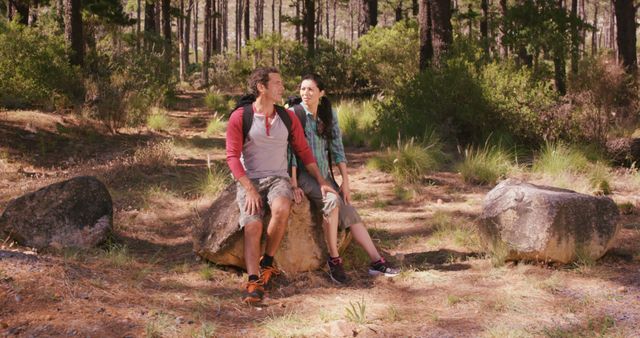 Couple Resting on Rock During Forest Hike - Download Free Stock Images Pikwizard.com