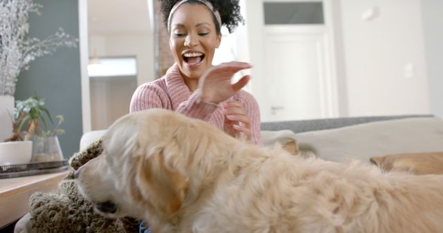 Young woman is smiling and laughing while playing with her golden retriever in a cozy indoor setting. Perfect for concepts related to pet ownership, happiness, joy, and human-animal bonding.