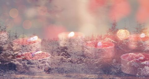 Dreamy Christmas Candles Against Snowy Forest Backdrop - Download Free Stock Images Pikwizard.com