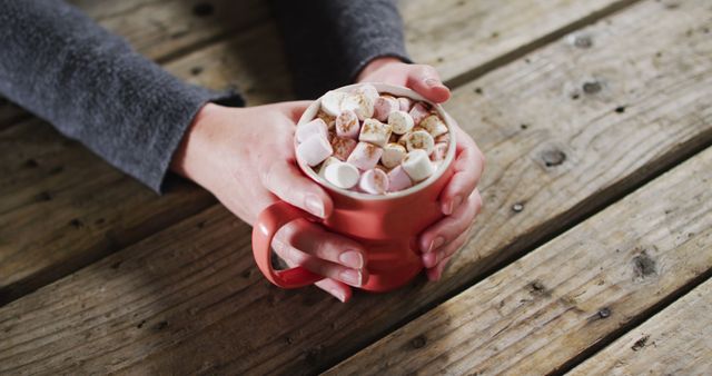 Close up view of hands holding a hot chocolate with marshmallows against wooden surface - Download Free Stock Photos Pikwizard.com