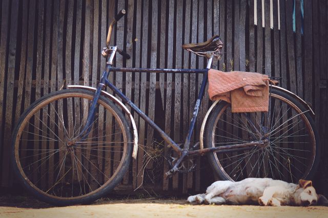 Vintage Bicycle Resting Against Wooden Fence with Sleeping Dog - Download Free Stock Photos Pikwizard.com