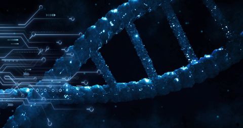 Digital circuit board overlay on dna strand illustration