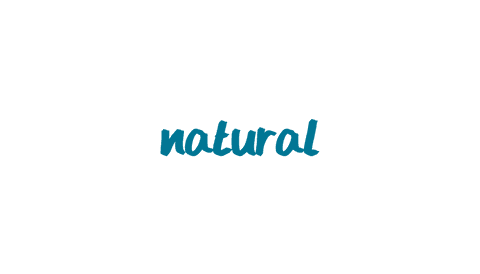 Stylish Natural Text on Transparent Background for Design - Download Free Stock Videos Pikwizard.com